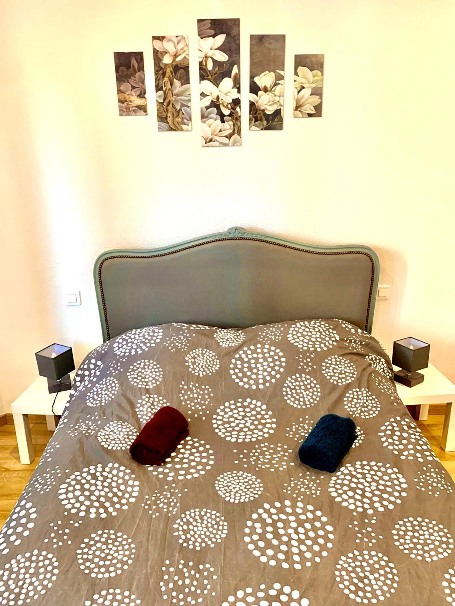 L Indemodable Renove Spacieux Et Lumineux Avec 2 Chambres Sarrebourg Bagian luar foto